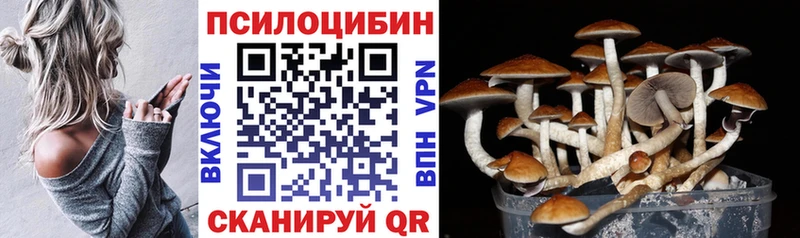 Галлюциногенные грибы мицелий  как найти наркотики  Лукоянов 